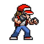 TERRY BOGARD