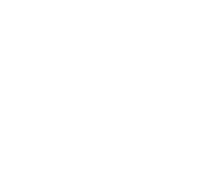 STAR DIVE Logo