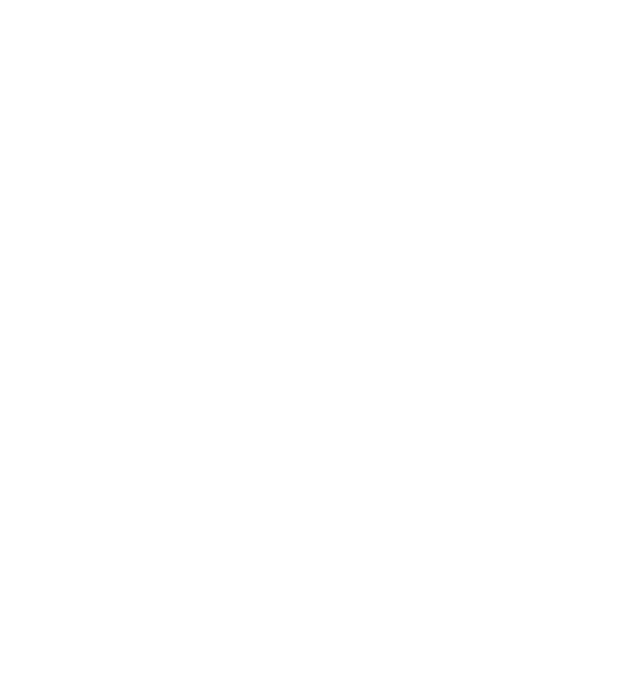 STAR DIVE Logo