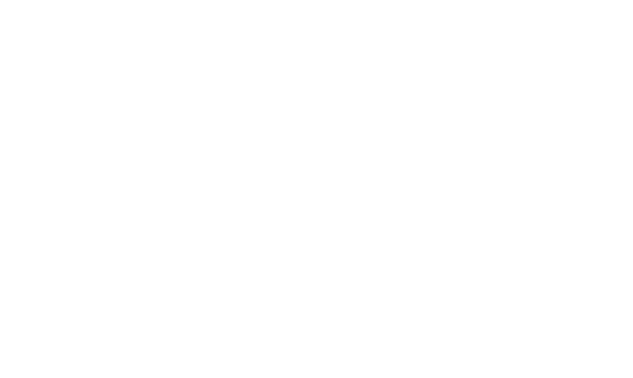 STAR DIVE Logo